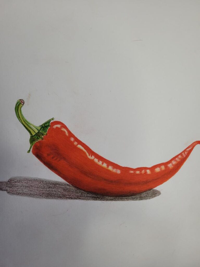 Pastell- und Buntstiftzeichnungen chilli bild 3